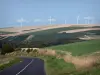 Paysages de la Marne - Route bordée de champs de culture et éoliennes surplombant l'ensemble