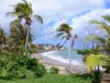Paysages de la Martinique - Vue sur le front de mer de Sainte-Marie et l'océan Atlantique, avec des cocotiers en premier plan