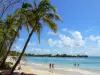 Paysages de la Martinique - Plage de Grande Anse des Salines avec ses cocotiers, son sable fin et sa mer turquoise ; sur la commune de Sainte-Anne