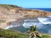 Paysages de la Martinique - Réserve naturelle de la presqu'île de la Caravelle - Parc Naturel Régional de la Martinique : côte sauvage de la presqu'île et océan Atlantique