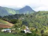 Paysages de la Martinique - Maisons dans un cadre verdoyant, au pied des pitons du Carbet