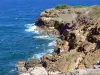 Paysages de la Martinique - Réserve naturelle de la presqu'île de la Caravelle - Parc Naturel Régional de la Martinique : côte rocheuse et océan Atlantique