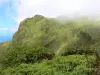 Paysages de la Martinique - Montagne Pelée - Parc Naturel Régional de la Martinique : pentes verdoyantes du volcan en activité