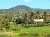 Paysages de la Martinique - Cadre verdoyant parsemé de maisons