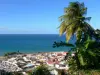 Paysages de la Martinique - Vue sur les toits de Grand'Rivière et l'océan Atlantique depuis les hauteurs du village, avec cocotier et bananier en premier plan