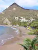 Paysages de la Martinique - Plage de Petite Anse d'Arlet bordée d'arbres et de cocotiers, façades de maisons, Morne Jacqueline et mer des Caraïbes ; sur la commune des Anses-d'Arlet