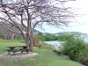 Paysages de la Martinique - Table de pique-nique au pied d'un arbre avec vue sur le Cul-de-Sac du Marin