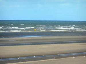 Paysages du Nord - CÃ´te d'Opale : plage de sable, mouettes et mer du ...