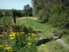 Paysages du Nord - Parc Naturel Régional de l'Avesnois : fleurs sauvages, chemin et arbres