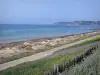 Paysages de Normandie - Fleurs, promenade et plage de Barneville-Carteret (Barneville-Plage) avec vue sur la mer (la Manche), le port de la station balnéaire et le cap de Carteret