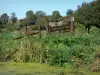 Paysages de Normandie - Parc Naturel Régional des Marais du Cotentin : canal, végétation au bord de l'eau et arbres