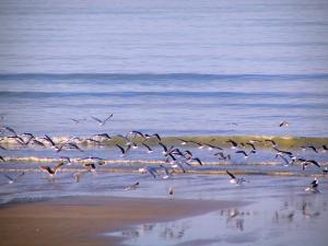 Paysages de Normandie Paysages de Normandie