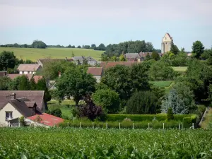 Paysages de l'Orne - Village entouré d'arbres et de champs