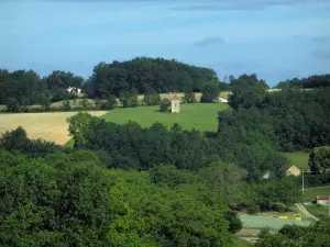 Paysages du Périgord - Arbres et champs