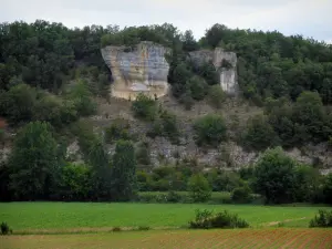 Paysages du Périgord - Falaise, arbres et champs, dans la vallée de la Vézère