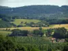 Paysages du Périgord - Arbres, maisons, champs et forêt