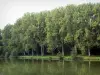 Paysages de Picardie - Étang bordé d'arbres, à Péronne