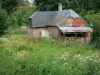 Paysages de Picardie - Thiérache : maison en briques entourée d'un pré en fleurs