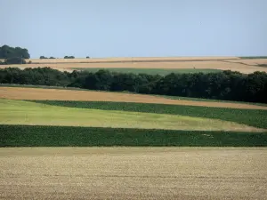 Paysages de Picardie - Succession de champs