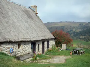 Paysages du Puy-de-Dôme - Parc Naturel Régional Livradois-Forez : maison en pierre au toit de chaume (chaumière) avec vue sur un mont parsemé d'arbres ; dans les monts du Forez