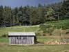 Paysages du Puy-de-Dôme - Parc Naturel Régional Livradois-Forez : cabane en bois, herbages et forêt de sapins