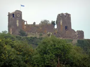 Paysages du Puy-de-Dôme - Château de Mauzun (forteresse médiévale) et arbres