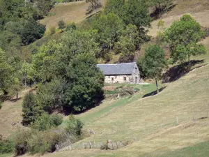 Paysages des Pyrénées - Maison en pierre entourée d'arbres et de pâturages