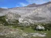 Paysages des Pyrénées - Cirque de Troumouse (Parc National des Pyrénées) : rochers, fleurs sauvages, pelouse et parois rocheuses du cirque formant une muraille (rempart) naturelle