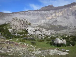 Paysages des Pyrénées - Cirque de Troumouse (Parc National des Pyrénées) : rochers, fleurs sauvages, pelouse et parois rocheuses du cirque formant une muraille (rempart) naturelle