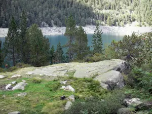 Paysages des Pyrénées - Massif du Néouvielle (Réserve Naturelle du Néouvielle) : lac d'Orédon entouré d'arbres