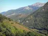 Paysages des Pyrénées - Montagnes couvertes d'arbres