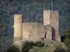 Paysages des Pyrénées - Château Sainte-Marie (sur la commune de Luz-Saint-Sauveur) et forêt en arrière-plan