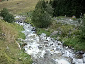 Paysages des Pyrénées - Jardin botanique du Tourmalet au bord du gave (rivière)