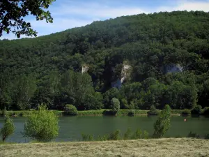 Paysages du Quercy - Vallée du Célé : rivière (le Célé), rives et arbres