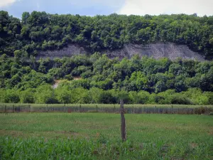 Paysages du Quercy - Champs, arbres et parois rocheuses