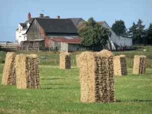 Paysages de la Sarthe - Bottes de foin dans un pré, aux abords d'une ferme