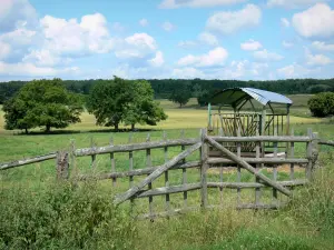 Paysages de la Sarthe - Portail de clôture d'un pré