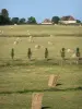 Paysages de la Sarthe - Prés avec des bottes de foin, bâtisses en arrière-plan