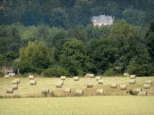 Paysages de la Sarthe - Demeure entourée de verdure, et bottes de paille dans un champ