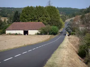 Paysages du Tarn-et-Garonne - Route de campagne, ferme, champs et arbres