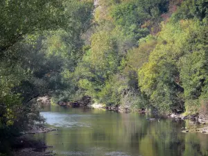 Paysages du Tarn-et-Garonne - Gorges de l'Aveyron : rivière Aveyron bordée d'arbres
