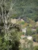 Paysages du Tarn-et-Garonne - Maisons entourées d'arbres