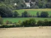 Paysages du Val-d'Oise - Parc Naturel Régional du Vexin Français : champs, prairies, arbres et maisons