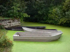 Paysages de Vendée - Marais poitevin (marais mouillé) : barques sur une conche (petit canal) de la Venise verte et arbres au bord de l'eau, à Maillezais