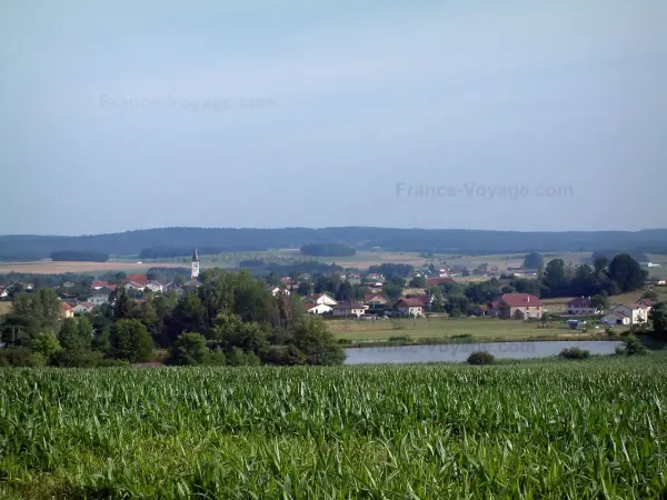 Paysages des Vosges - Champ de maïs, arbres, étang, maisons d'un village et forêt en arrière-plan