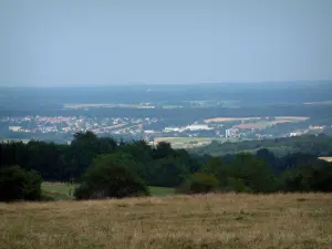 Paysages des Vosges - Herbage, arbres, ville en contrebas et forêts en arrière-plan