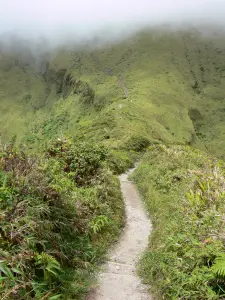 Pelée mountain - Hiking trail leading to the summit of the volcano