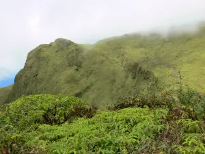 Pelée mountain - Vegetation volcano