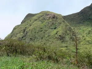 Pelée mountain - Vegetation volcano