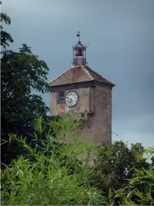 Penne - Bambou en premier plan, arbres et clocher du village